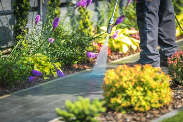 Reliable Rancho Cucamonga, CA Pressure Washing Services Solutions